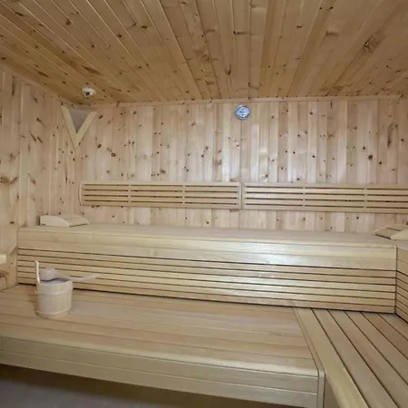 Residenz Wildkogelbahnen 17 Neukirchen am Großvenediger