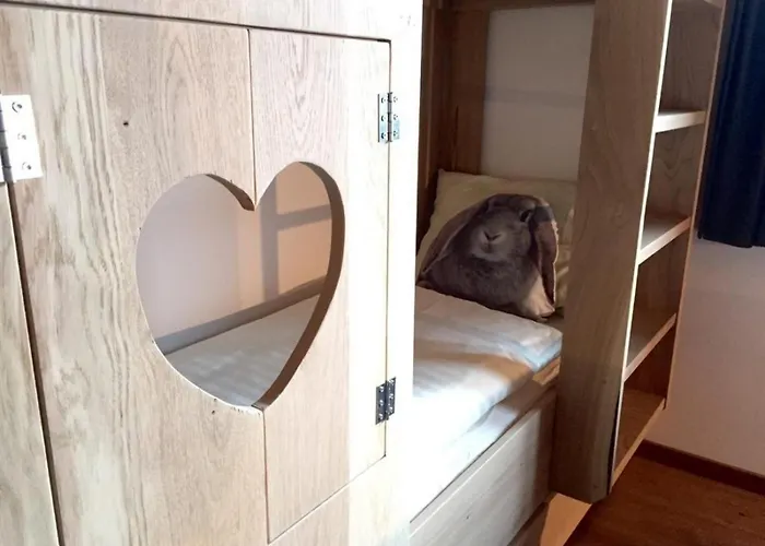 Residenz Wildkogelbahnen 17 アパート